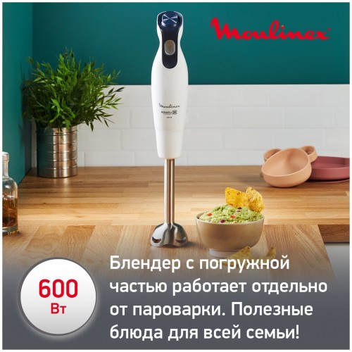 Погружной блендер Moulinex Yummy Gourmet DD55W110 (белый/черный) 3