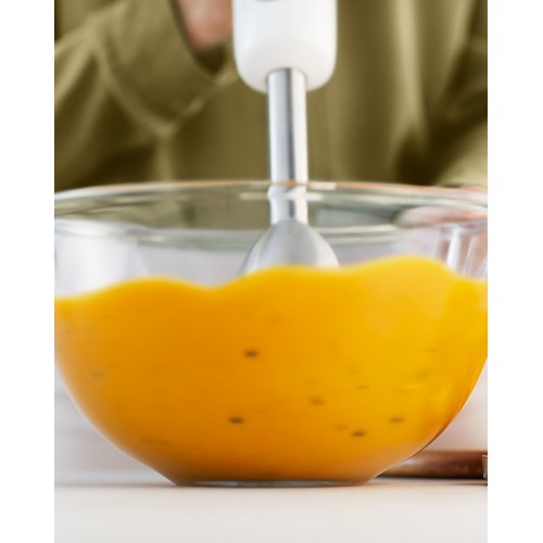 Погружной блендер Philips HR2534 (белый) 2