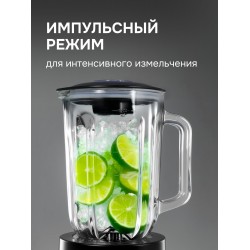 Стационарный блендер Zigmund Shtain BS-441 D (серебристый)