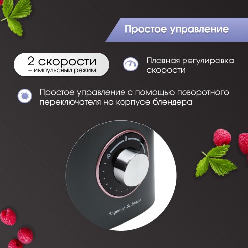 Стационарный блендер Zigmund Shtain BS-442D (антрацит) 1