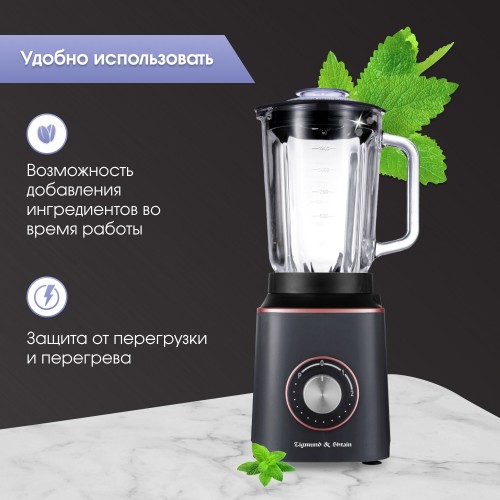 Стационарный блендер Zigmund Shtain BS-442D (антрацит) 2