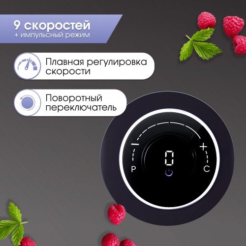 Стационарный блендер Zigmund Shtain BS-446 D (черный) 2