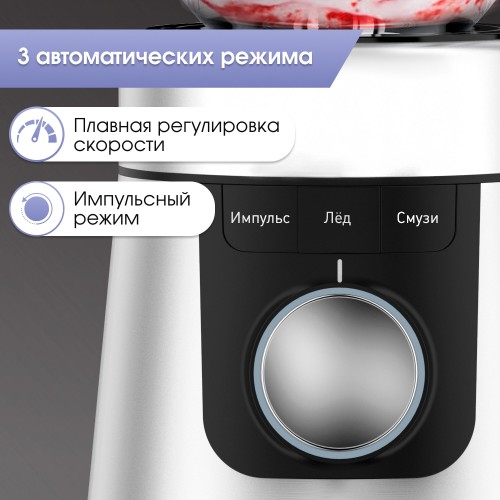 Стационарный блендер Zigmund Shtain BS 447 D (серебристый) 1