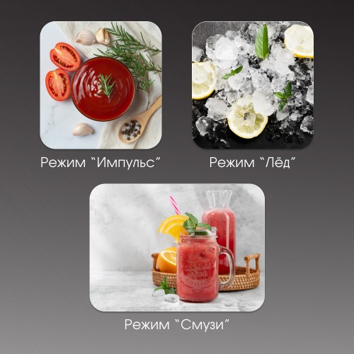 Стационарный блендер Zigmund Shtain BS 447 D (серебристый) 2