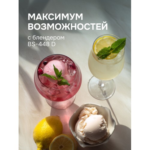 Стационарный блендер Zigmund Shtain BS-448 D (серебристый) 6