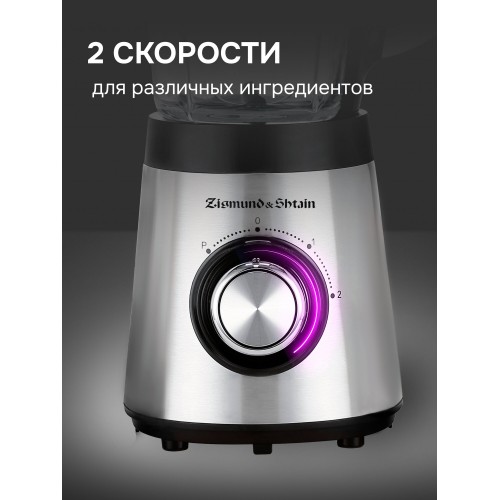 Стационарный блендер Zigmund Shtain BS-448 D (серебристый) 9