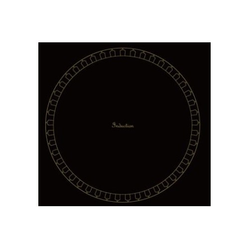 Индукционная варочная панель Graude IK 60.1 KS (черный) 1