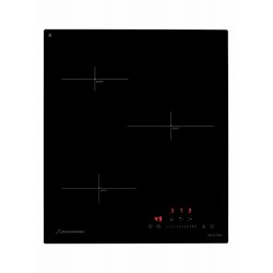 Индукционная варочная панель Schaub Lorenz SLK IY 42 S5 (черный)