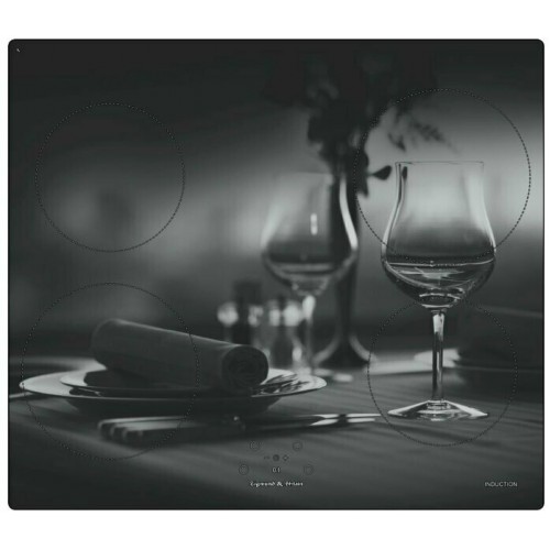 Индукционная варочная панель Zigmund Shtain CIS 219.60 DX (черный) 