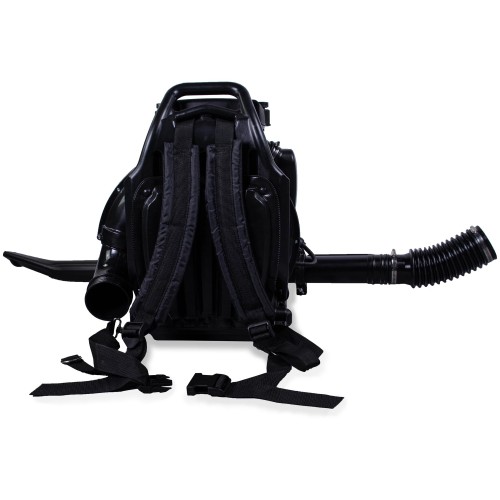 Воздуходувка Champion GBR376 1