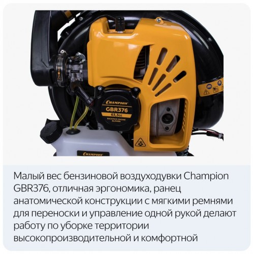Воздуходувка Champion GBR376 9