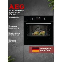Электрический духовой шкаф AEG OA5CB531AB (черный)