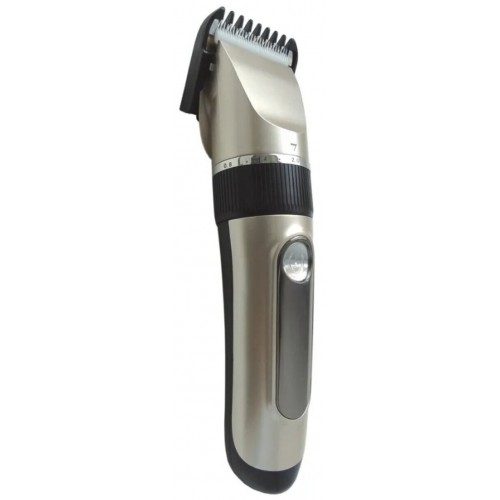 Машинка для стрижки Бердск Э.ЭМ.007.АБ (золотой) 