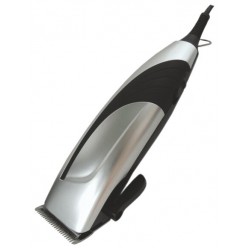 Машинка для стрижки Бердск В.ЭМ.04Б (серебристый)