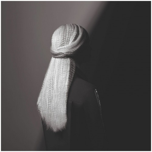 Мультистайлер Rowenta Karl Lagerfeld CF422LF0 (черный) 5