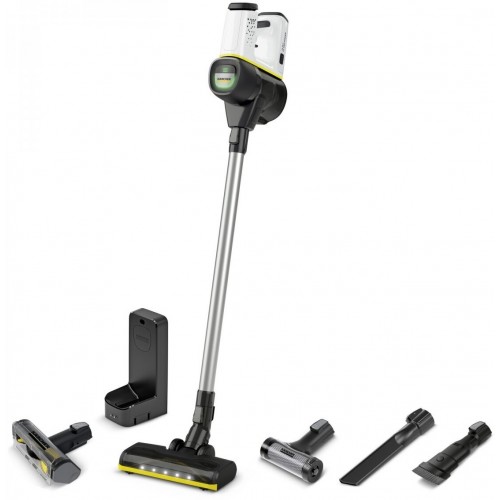 Вертикальный пылесос Karcher VC 6 Cordless OurFamily Pet (1.198-673.0) (серебристый/белый) 