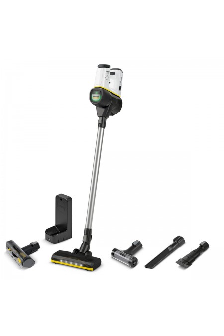 Вертикальный пылесос Karcher VC 6 Cordless OurFamily Pet (1.198-673.0) (серебристый/белый) 
