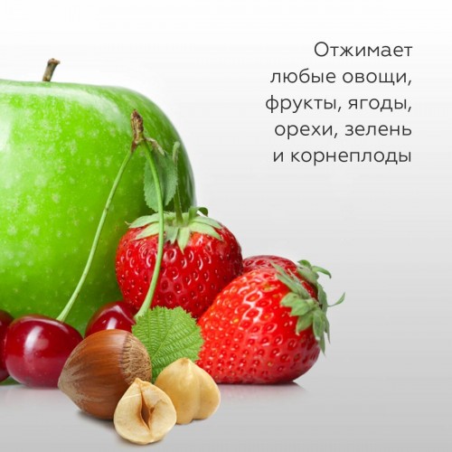 Соковыжималка BQ J2000 (черный/серый) 5