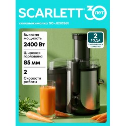 Соковыжималка Scarlett SC-JE50S61 (черный/серебристый)
