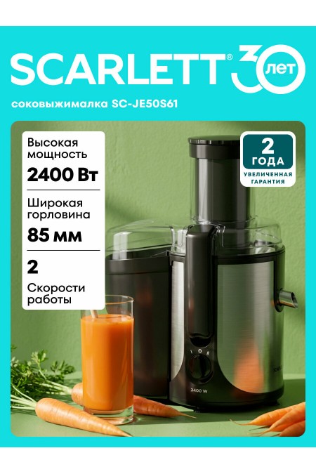 Соковыжималка Scarlett SC-JE50S61 (черный/серебристый) 