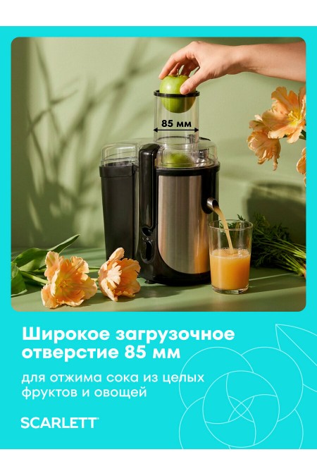 Соковыжималка Scarlett SC-JE50S61 (черный/серебристый) 1