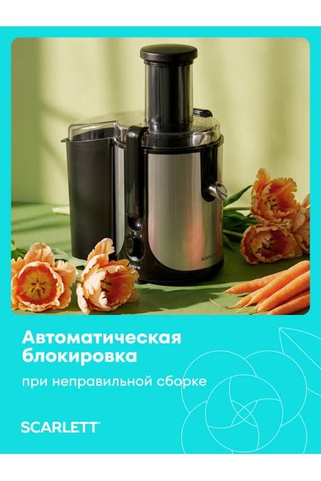 Соковыжималка Scarlett SC-JE50S61 (черный/серебристый) 7