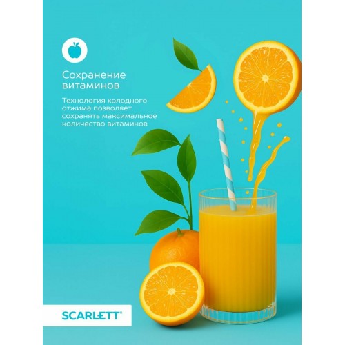 Соковыжималка Scarlett SC-JE50S63 (белый) 1
