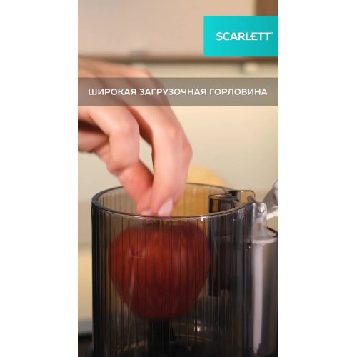 Соковыжималка Scarlett SC-JE50S63 (белый) 4