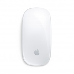 Беспроводная мышь Apple Magic Mouse (USB-C) (белый)