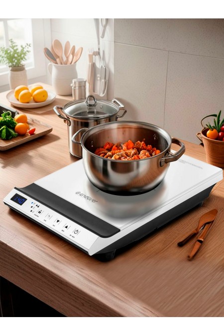 Индукционная плита Endever Skyline IP-68 (белый) 9