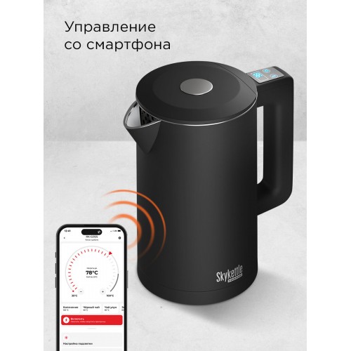 Электрочайник Redmond SkyKettle KM231S (черный) 1