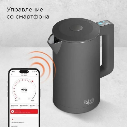 Электрочайник Redmond SkyKettle KM231S (серый) 1