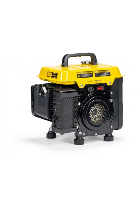 Генератор Champion PNIGG1001 7