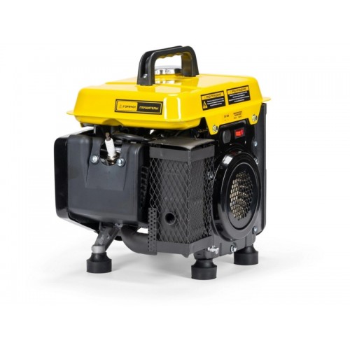 Генератор Champion PNIGG1001 8