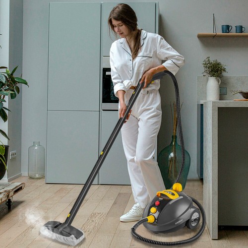 Пароочиститель ENDEVER Odyssey Q-808 (серый/желтый) 