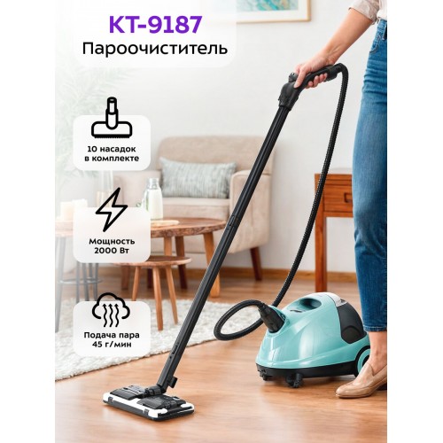 Пароочиститель Kitfort КТ-9187 (черный/бирюзовый) 
