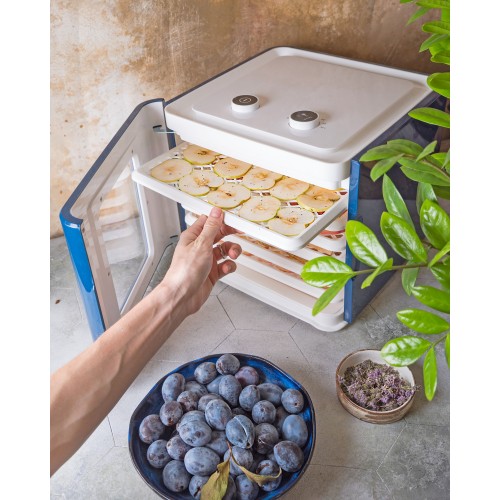 Сушилка Starwind SFD6431 (синий) 12