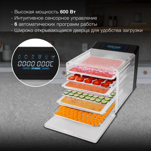 Сушилка Hyundai HYFD-8800 (черный) 13