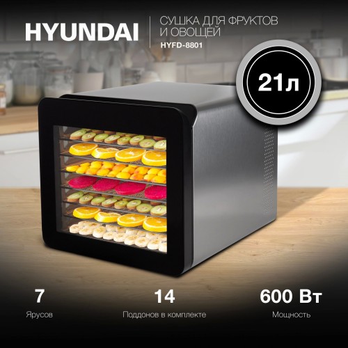 Сушилка Hyundai HYFD-8801 (серебристый) 10