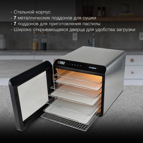Сушилка Hyundai HYFD-8801 (серебристый) 11