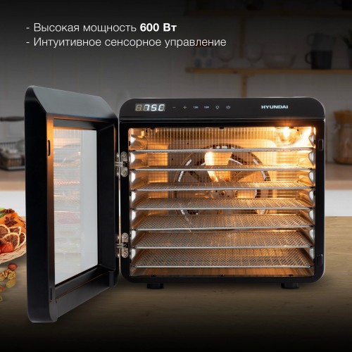 Сушилка Hyundai HYFD-8801 (серебристый) 12