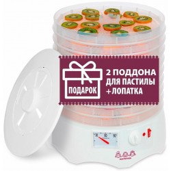 Сушилка Мастерица EFD-0903VM + 2 поддона для пастилы (белый)