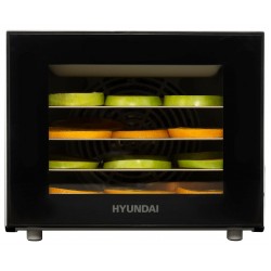 Сушилка Hyundai HYFD-1204 (черный)