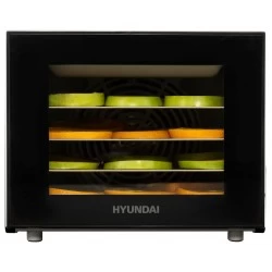 Сушилка Hyundai HYFD-1204 (черный)