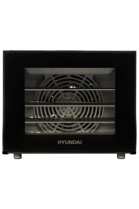 Сушилка Hyundai HYFD-1204 (черный) 4