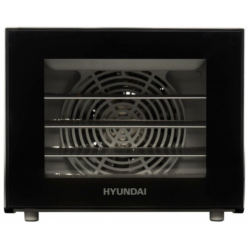 Сушилка Hyundai HYFD-1204 (черный) 4