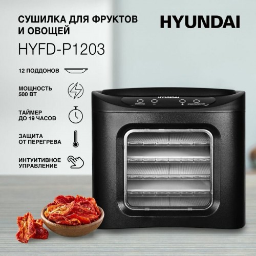 Сушилка Hyundai HYFD-P1203 (черный) 7