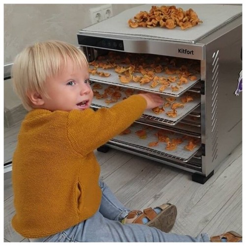 Сушилка Kitfort КТ-1910 (серебристый) 2