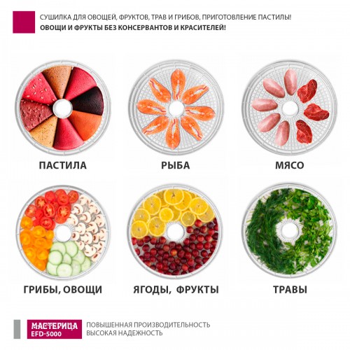 Сушилка Мастерица EFD-5000 (6 поддонов + 3 поддона для пастилы) (белый) 7