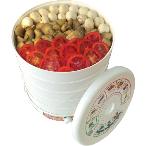 Сушилка RENOVA DVN31-500/5 (белый) 9